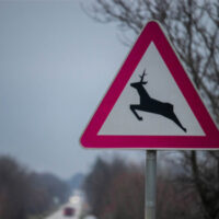 Caution Sign Deer Crossing