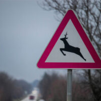 Caution Sign Deer Crossing Caution Sign Deer Crossing