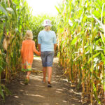 FarmCornMaze FarmCornMaze