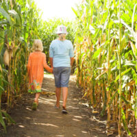 FarmCornMaze FarmCornMaze