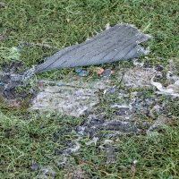 Field_TurfDamage Field_TurfDamage