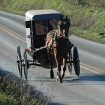 HorseBuggy